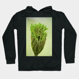 Triffids in the spring ! Hoodie